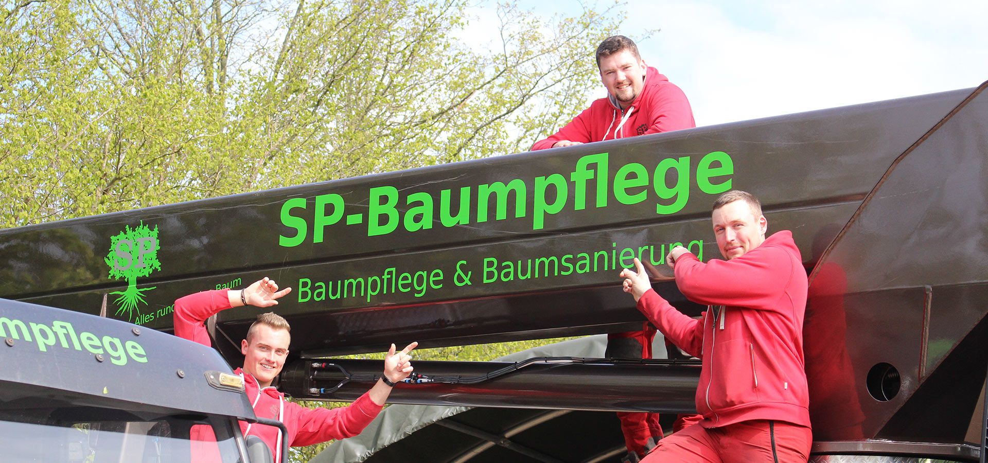 sp baumpflege referenzen