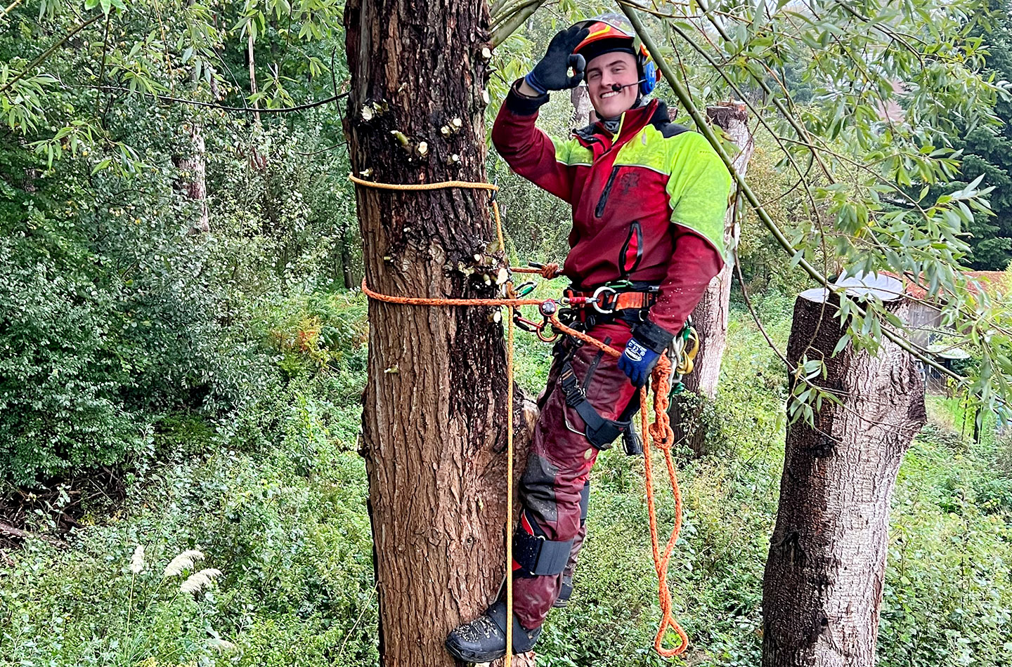 sp-baumpflege-baumfaellung_1 SP Baumpflege Baumfällung