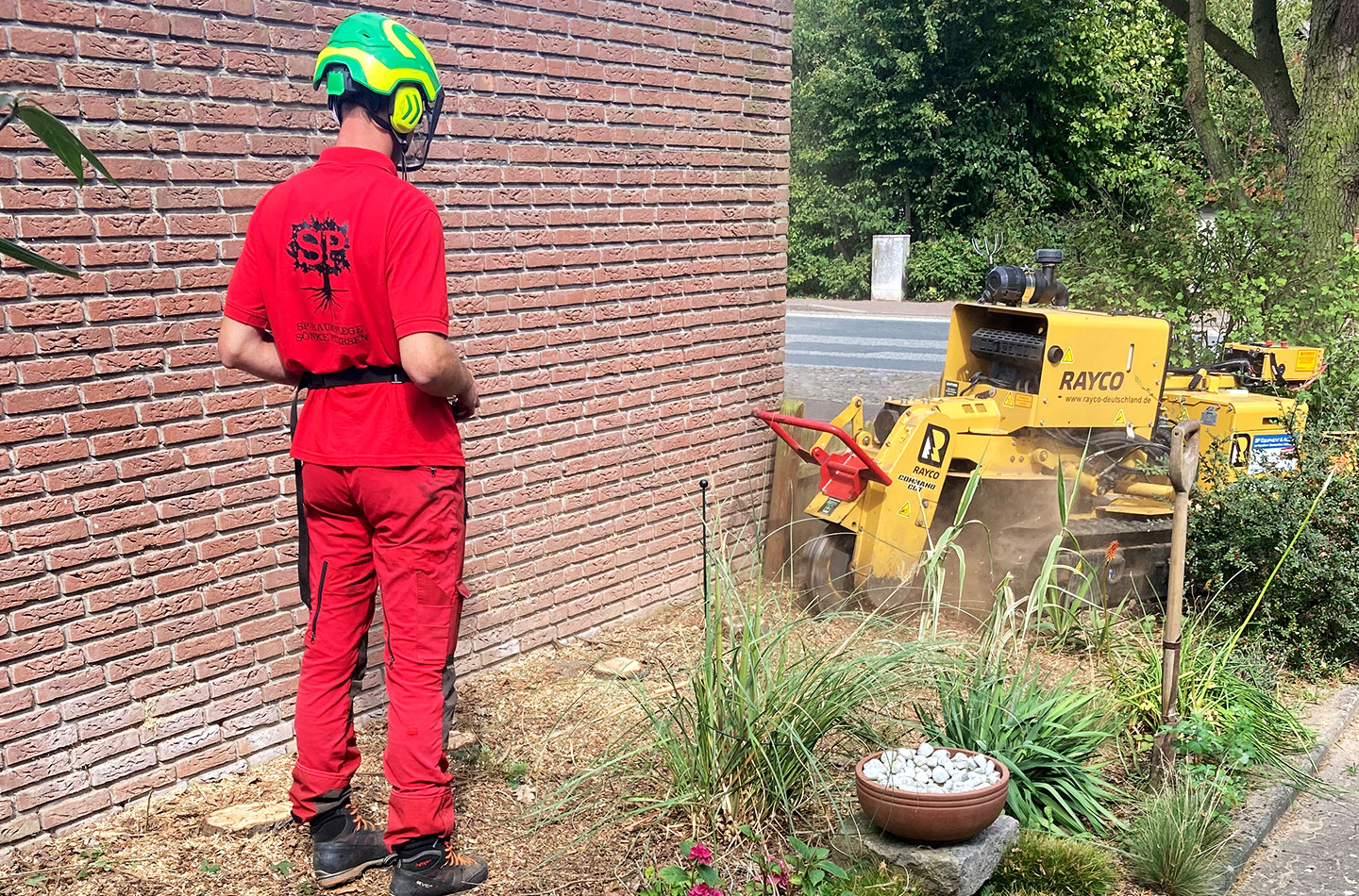 sp-baumpflege-stubben-fraesen_4 sp baumpflege stubben fraesen 4